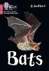Bats
