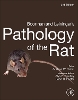 Boorman's Pathology of the Rat