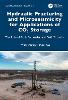 Hydraulic Fracturing and Microseismicity for Applications of CO2 Storage