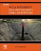 Well Integrity for Abandoned Well Re-entries