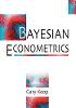 Bayesian Econometrics