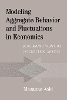 Modeling Aggregate Behavior and Fluctuations in Economics