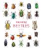 Interesting Beetles