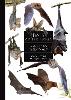 Bats of the World