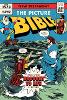 Picture Bible New Testament, The