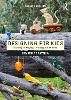 Designing for Kids