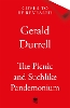 The Picnic and Suchlike Pandemonium