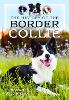 The History of the Border Collie