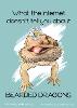 What the Internet Doesn't Tell You About Bearded Dragons