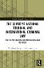 The Supreme National Tribunal and International Criminal Law