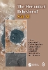 The Mechanical Behavior of Salt XI