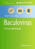 Baculovirus
