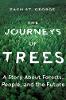 The Journeys of Trees