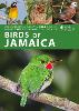 Birds of Jamaica