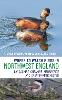 Where to Watch Birds in Northwest England