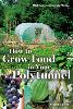 How to Grow Food in Your Polytunnel