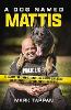 A Dog Named Mattis