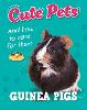 Cute Pets! And How to Care For Them: Guinea Pigs