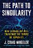 The Path to Singularity