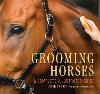 Grooming Horses