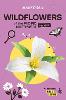 Wildflowers of the Pacific Northwest For Kids