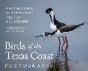 Birds of the Texas Coast