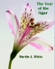 The Year of the Tiger