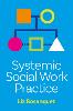 Systemic Social Work Practice