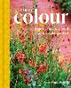 A Year of Colour