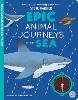 Epic Animal Journeys in the Sea