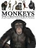 Monkeys