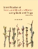 Identification of Trees and Shrubs in Winter using Buds and Twigs