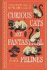 Curious Cats and Fantastical Felines