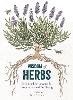 Wisdom of Herbs