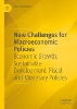 New Challenges for Macroeconomic Policies