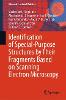 Identification of Special-Purpose Structures by Their Fragments Based on Scanning Electron Microscopy
