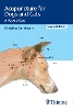 Acupuncture for Dogs and Cats