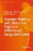 Operation Modeling and Collaborative Regulation of Distributed Energy Grid Clusters