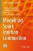 Modelling Spark Ignition Combustion