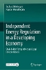 Independent Energy Regulation in a Developing Economy