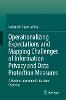 Operationalizing Expectations and Mapping Challenges of Information Privacy and Data Protection Measures