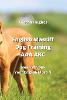 English Mastiff Dog Training AAA AKC