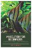 Angelfish for Beginners