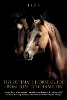 The Ultimate Horse Guide