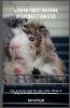 A Comprehensive Handbook on Raising Pet Hamsters