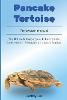 Pancake Tortoise