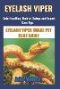 Eyelash Viper