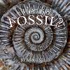 What is a Fossil?