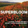 Superbloom
